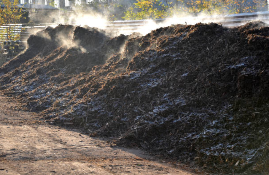Large steaming piles of organic waste at an industrial composting facility.